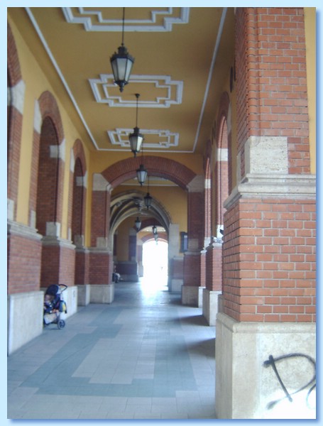 IMAG0019.JPG