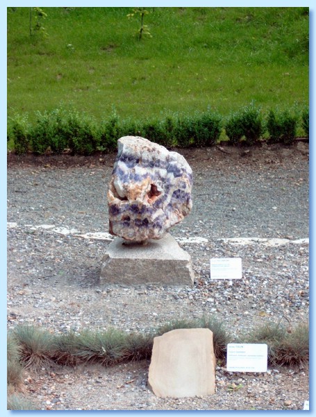 DSC11.jpg