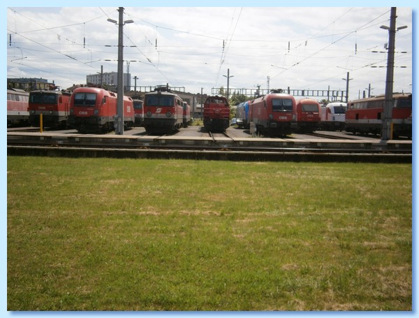 LHW57.JPG