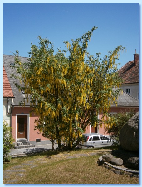 RE26.JPG