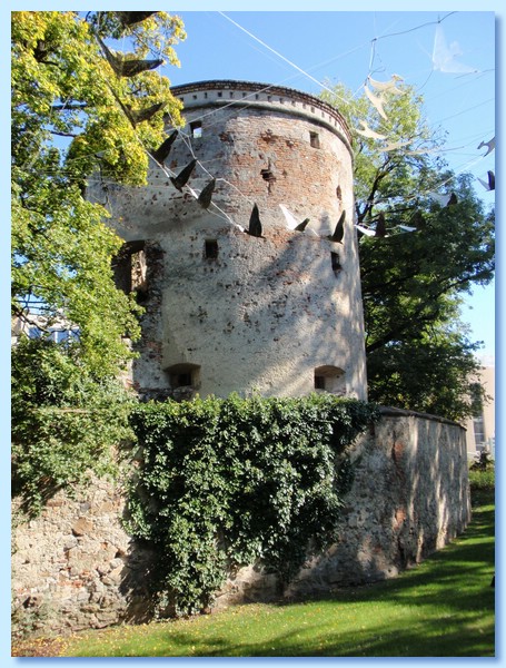 PA050160.JPG